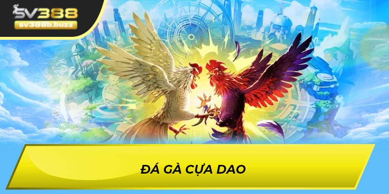Đá gà cựa dao