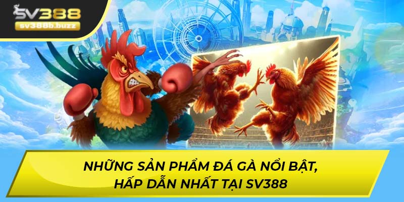 Những sản phẩm đá gà nổi bật, hấp dẫn nhất tại SV388