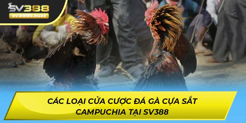 Các loại cửa cược đá gà cựa sắt Campuchia tại SV388