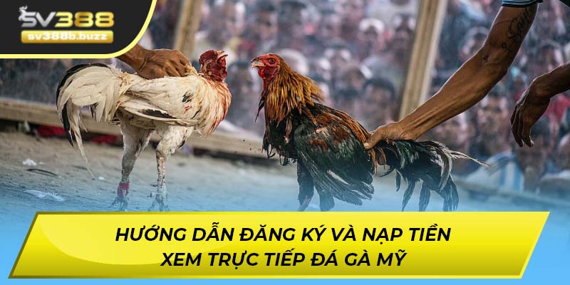Hướng dẫn đăng ký và nạp tiền xem trực tiếp đá gà Mỹ