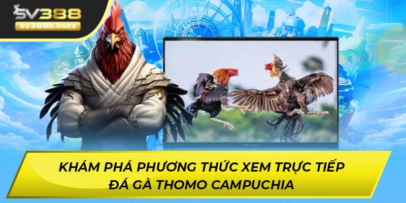Khám phá các kèo cược hấp dẫn tại trực tiếp đá gà Thomo Campuchia