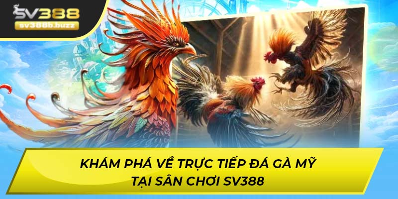 trực tiếp đá gà mỹ
