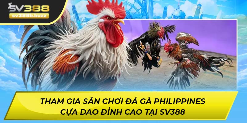 đá gà Philippines cựa dao